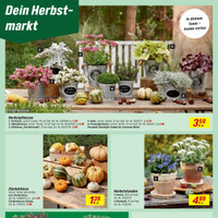 toom Baumarkt Prospekt Seite 8