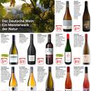 Globus Prospekt Seite 20