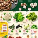 Globus Prospekt Seite 14