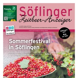 Söflinger Anzeiger Prospekt