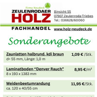 Zeulenrodaer Holzfachhandel Prospekt Seite 2