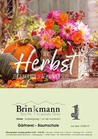 Gärtnerei Brinkmann Prospekt - Angebote ab 18.09.