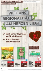 Kaufland Prospekt - Regionale Angebote ab 19.09.