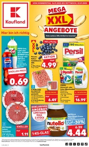 Kaufland Prospekt - Angebote ab 16.01.