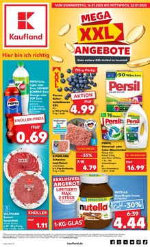 Kaufland Prospekt - Angebote ab 16.01.