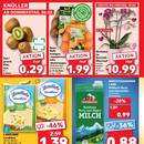 Kaufland Prospekt Seite 2