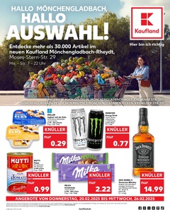 Kaufland Prospekt - Angebote ab 20.02.