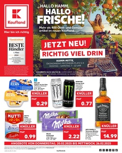 Kaufland Prospekt - Angebote ab 20.02.