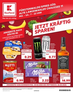 Kaufland Prospekt - Angebote ab 20.02.