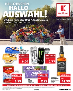 Kaufland Prospekt - Angebote ab 20.02.