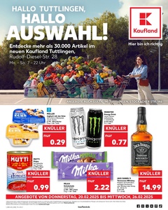 Kaufland Prospekt - Angebote ab 20.02.