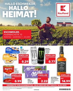 Kaufland Prospekt - Angebote ab 20.02.