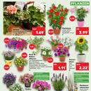 Kaufland Prospekt Seite 3
