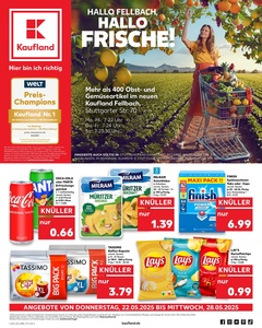Kaufland Prospekt - Angebote ab 22.05.