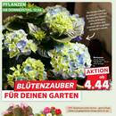 Kaufland Prospekt Seite 4