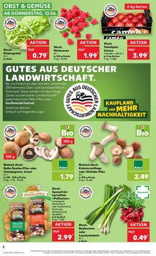 Kaufland Prospekt - Angebote ab 12.06.