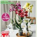 Kaufland Prospekt Seite 4