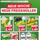 Kaufland Prospekt Seite 36