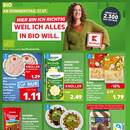 Kaufland Prospekt - Käse