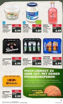 Kaufland Prospekt - Regionale Angebote ab 17.07.