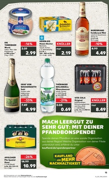 Kaufland Prospekt - Regionale Angebote ab 17.07.