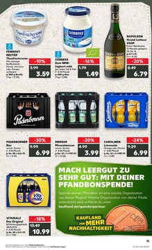 Kaufland Prospekt - Regionale Angebote ab 17.07.