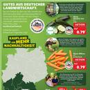 Kaufland Prospekt Seite 2