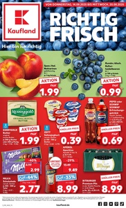 Kaufland Prospekt - Angebote ab 14.08.