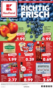Kaufland Prospekt - Angebote ab 14.08.