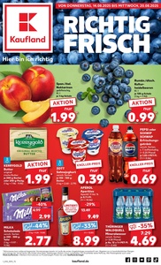 Kaufland Prospekt - Angebote ab 14.08.