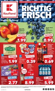 Kaufland Prospekt - Angebote ab 14.08.