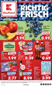 Kaufland Prospekt - Angebote ab 14.08.