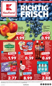 Kaufland Prospekt - Angebote ab 14.08.