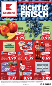 Kaufland Prospekt - Angebote ab 14.08.