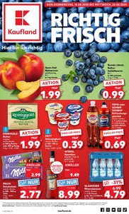 Kaufland Prospekt - Angebote ab 14.08.