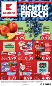 Kaufland Prospekt - Angebote ab 14.08.