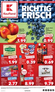 Kaufland Prospekt - Angebote ab 14.08.