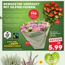 Kaufland Prospekt Seite 5