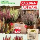 Kaufland Prospekt Seite 4
