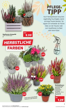 Kaufland Prospekt - Angebote ab 16.10.