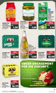 Kaufland Prospekt - Regionale Angebote ab 15.10.