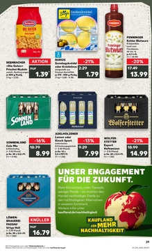 Kaufland Prospekt - Regionale Angebote ab 15.10.