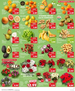 Kaufland Prospekt - Angebote ab 20.11.