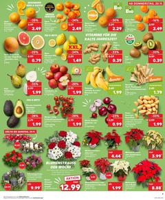 Kaufland Prospekt - Angebote ab 20.11.