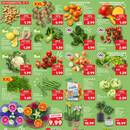 Kaufland Prospekt Seite 18