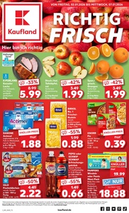 Kaufland Prospekt - Angebote ab 02.01.