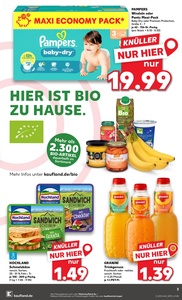 Kaufland Prospekt - Angebote ab 15.01.