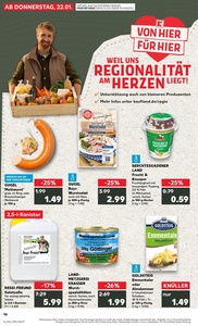 Kaufland Prospekt - Regionale Angebote ab 21.01.