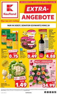 Kaufland Prospekt - Extra Angebote ab 12.02.