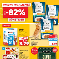 Kaufland Prospekt Seite 19